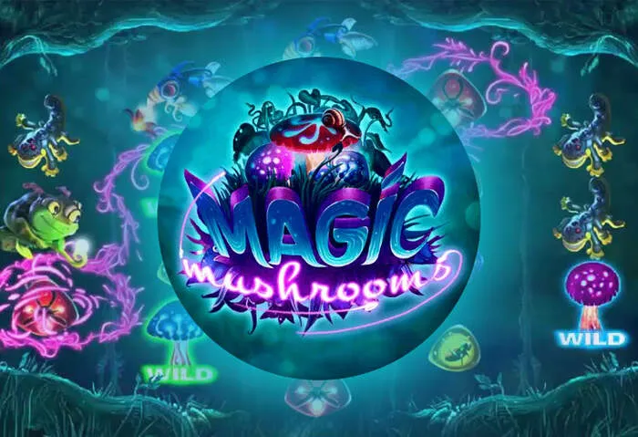 Disfruta de la experiencia de casino con top juegos y bonos atractivos.