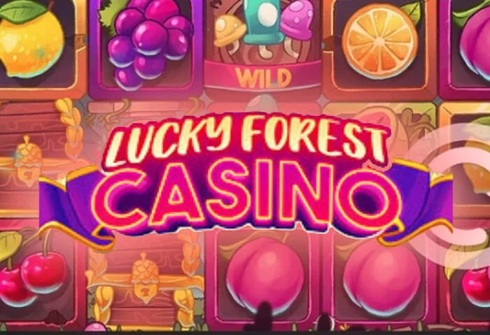 Mrpachocasino online: Los mejores bonos y promociones para tus juegos de casino.