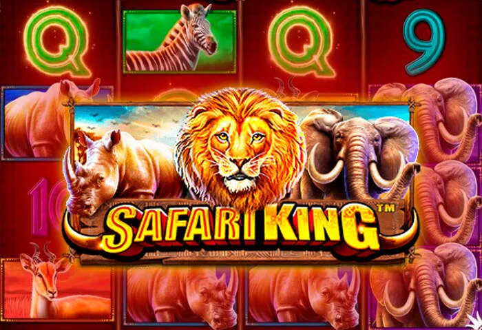 Mrpachocasino online: Disfruta la emoción de las tragamonedas y juegos de mesa.